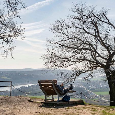 Studio-Loft Siebengebirge Westerwald Erpel Kültér fotó